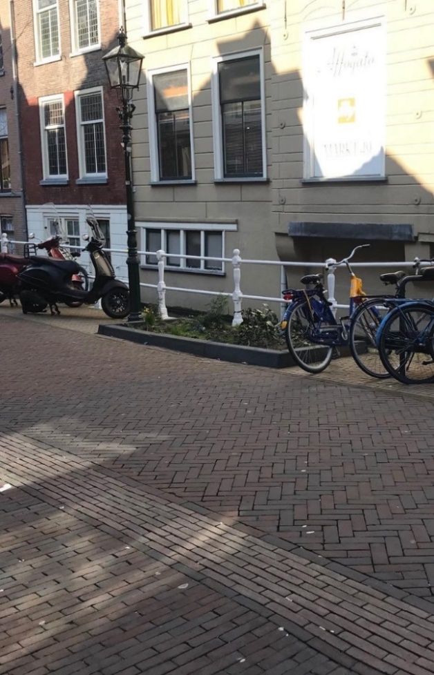 Verdwenen stoepen op de Oude Langedijk in Delft, vervangen door fietsen en plantenbakken.